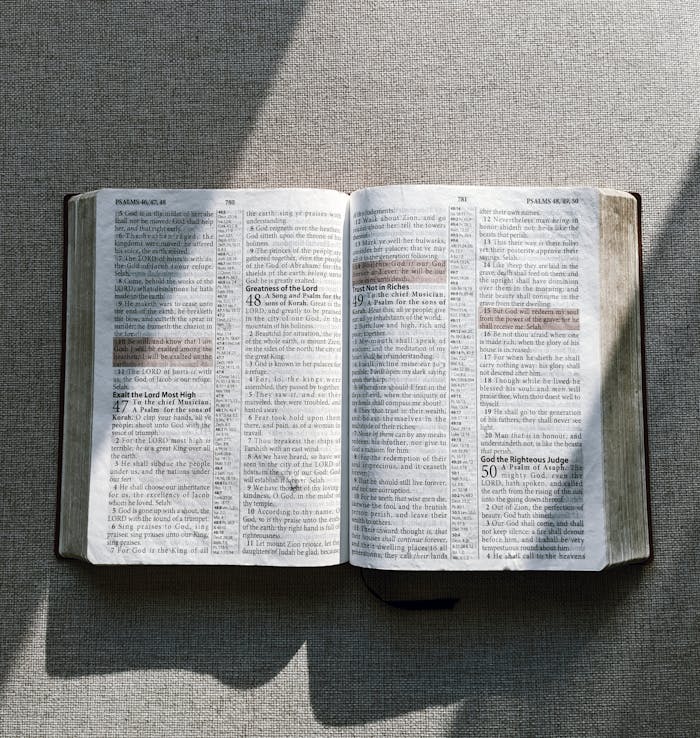 An open Bible displayed on a textured grey fabric, illuminated by natural sunlight.